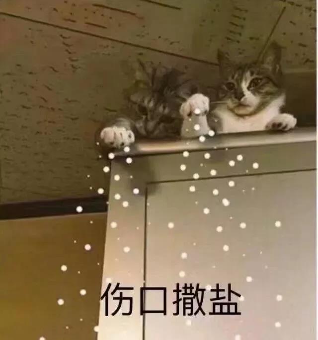 微信圖片_20190813152834.jpg